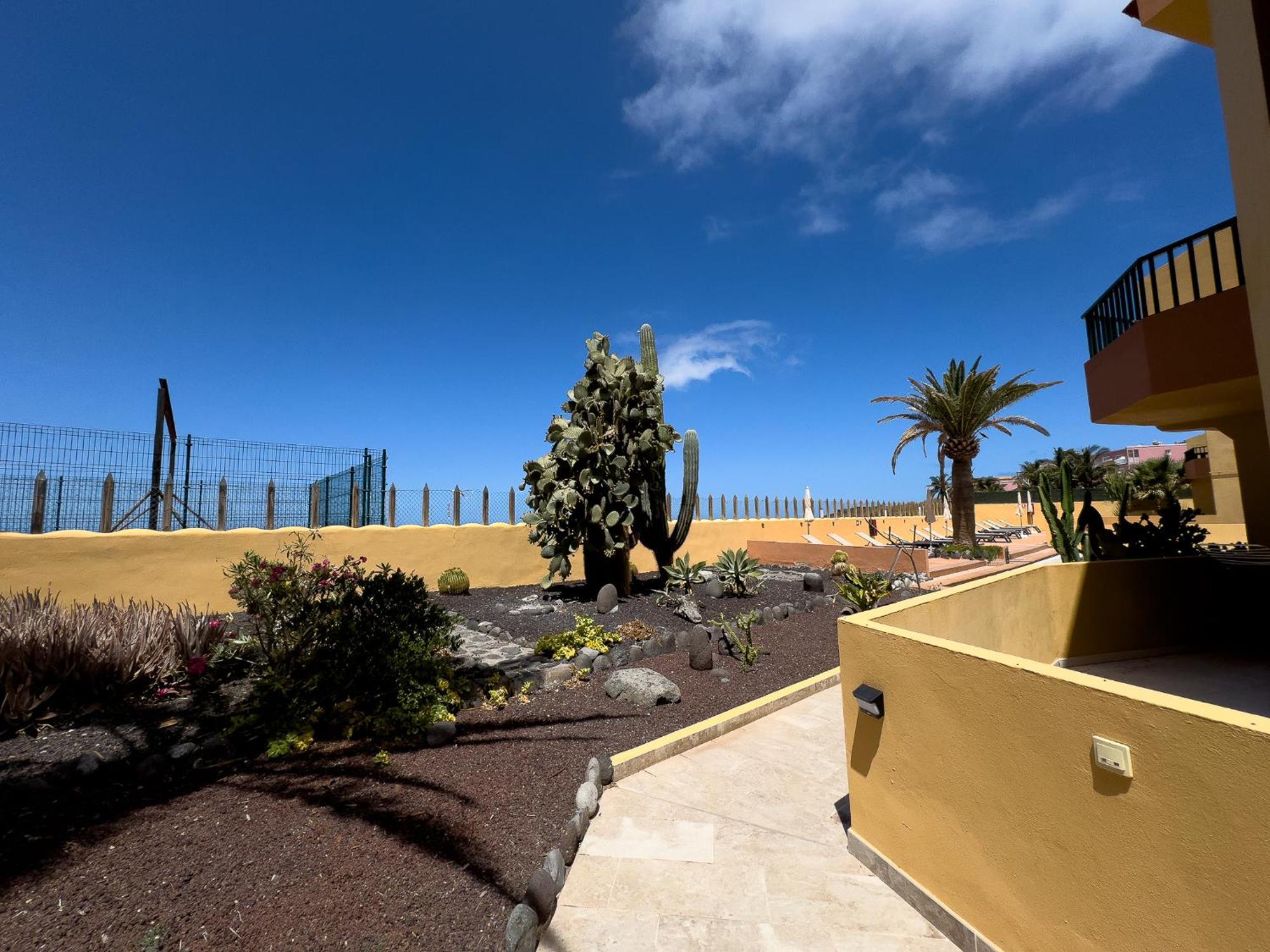 Complejo Las Tres Palmeras Valle Gran Rey Exterior photo